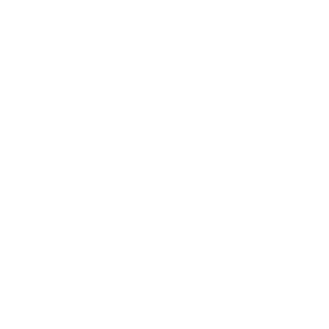 Pricing Icon
