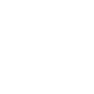 Software Icon