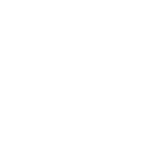 Consultant Icon